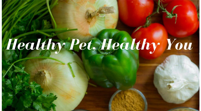 Healthy Pet, Healthy You! – Hosted by No Worries Pet Sitting