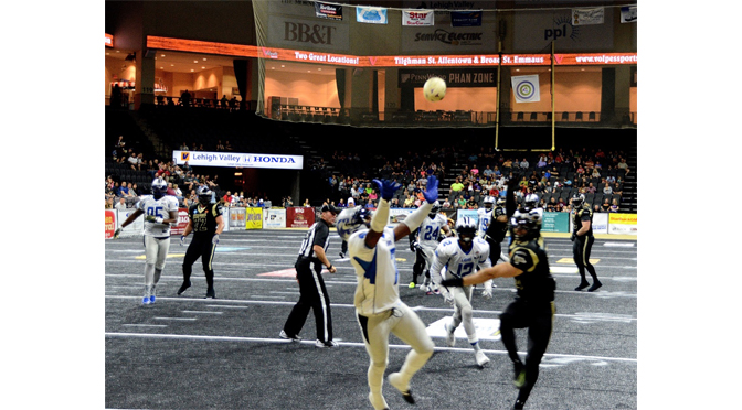 IT’S CLOSE, BUT NO CIGAR, FOR THE STEELHAWKS – by Diane Fleischman