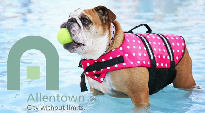 DOGGIE DIPS SCHEDULED AT MACK POOL