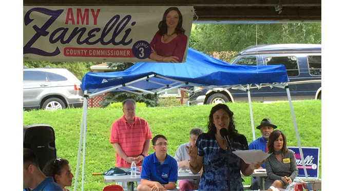 ZANELLI, MCLAUGHLIN, CEISLER THANK VOLUNTEERS WITH SUMMER PICNIC AND FAMILY FUN