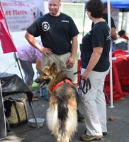 Woofstock 2016-065