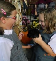 Fourth graders and a guinea pig