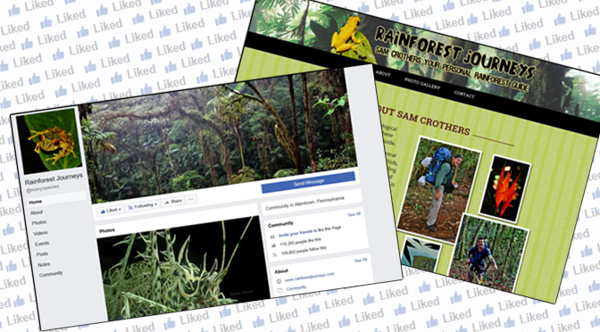 Local Naturalist finds 100,000 Facebook Rainforest Fans