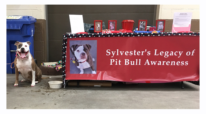 INTERVIEW WITH ANN FISHER: Sylvester’s Legacy of Pit Bull Awareness – By: Janel Spiegel