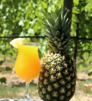 Franklin Hill – Beach Bum Sangria