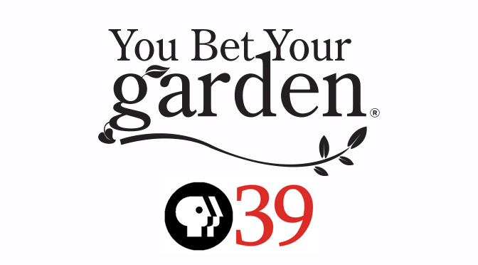 WLVT Takes Over Production of “You Bet Your Garden”
