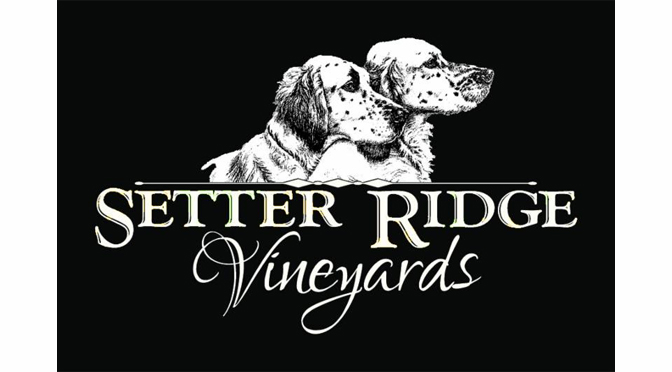 Celebrate Girls Scout Cookie Season with a Cookie & Wine Pairing