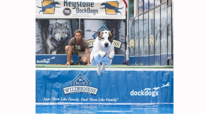 Step Outdoors Returns with Dock Dogs, Mud Run, Family Fishing Event & More June 1-2 SteelStacks, Bethlehem, PA