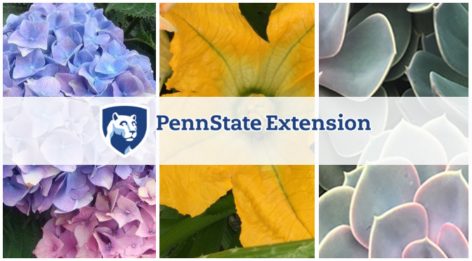 Lehigh County Penn State Extension Offers Master Garden Classes
