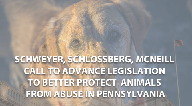 Animal protection supported by Schweyer, Schlossberg, McNeill