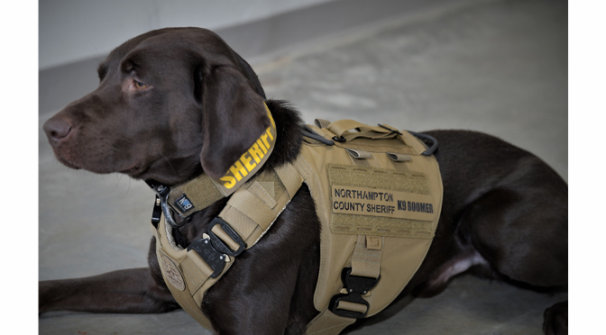 Donation of a K-9 Ballistic Vest to Officer Boomer