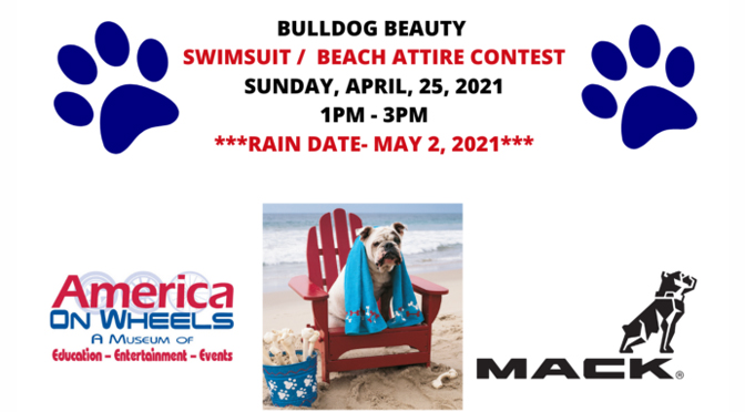 Annual Bulldog Beauty Contest at America On Wheels Museum to be Held Outdoors and Online Due to Covid 19 Restrictions in 2021