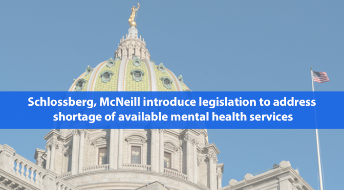 Schlossberg, McNeill introduce legislation to address shortage of available mental health services
