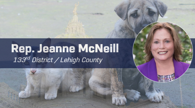 It’s Time for Passing Legislation to Protect Animals – Guest Column from State Rep. Jeanne McNeill
