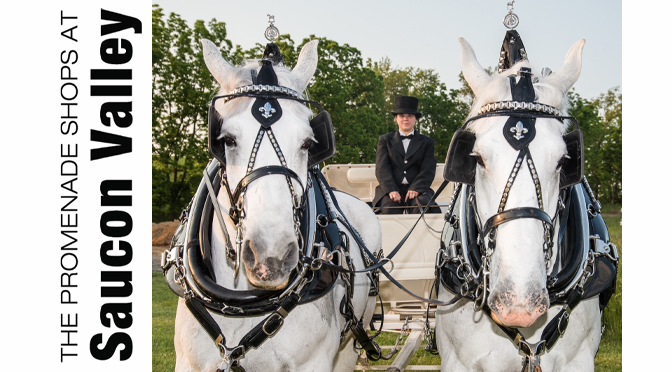 THE PROMENADE SHOPS AT SAUCON VALLEY ANNOUNCE THE RETURN OF HORSE-DRAWN CARRIAGE RIDES