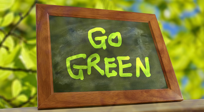 Let’s Make 2022 The Year of Going Green!  –  By Joe Scrizzi