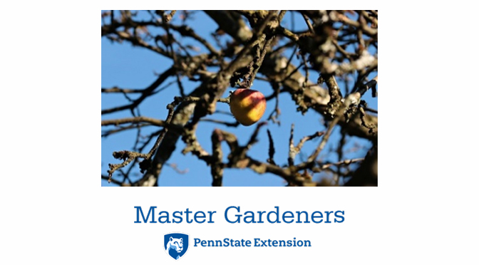 Penn State Extension Lehigh Valley Master Gardeners at Historic Archibald Johnston Mansion, Bethlehem
