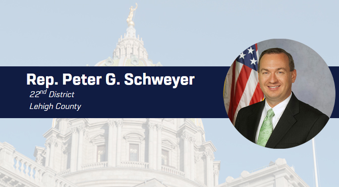 Schweyer: Majority party tactics on gun bills are shameful, dangerous