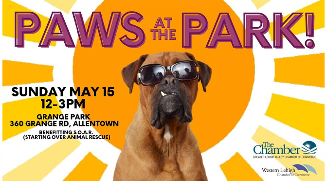 Food, Vendors, Pets & More  at PAWS AT THE PARK  to Benefit Starting Over Animal Rescue