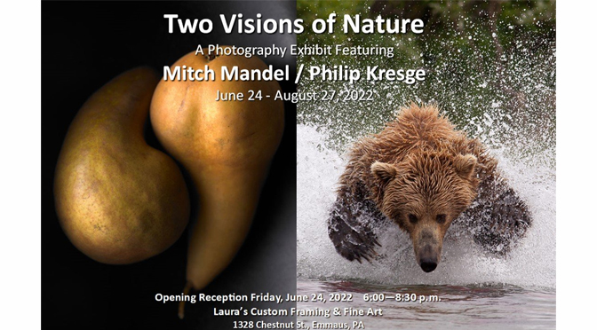 Two Visions of Nature