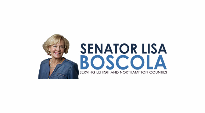SENATOR LISA BOSCOLA STATEMENT ON PA SUPREME COURT DECISION TO UPHOLD ACT 77