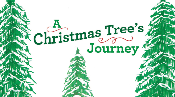 Bob Croft has just published his children’s book, A Christmas Tree’s Journey.
