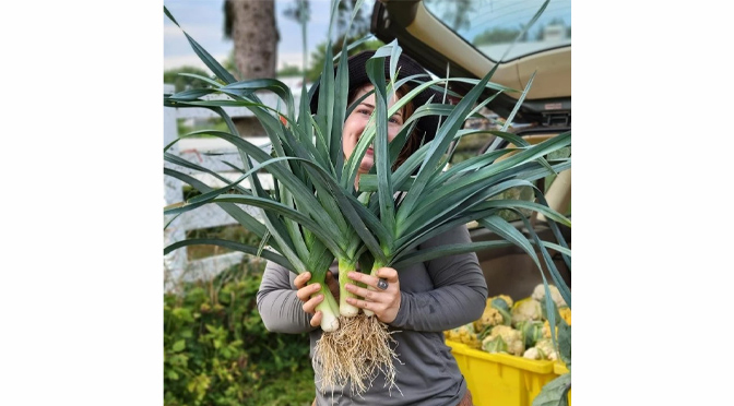 Crooked Row Farm, Fall 2022 – A Long-Expected Update!