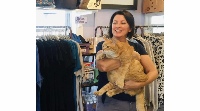 One Year, 50 Cats Adopted in Unique Business-Rescue Partnership