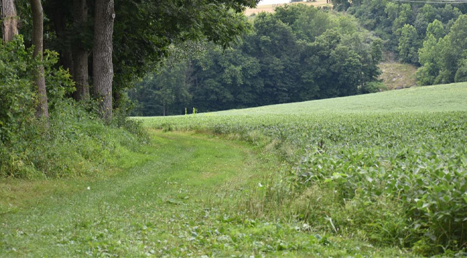 Northampton County adds the Bodnarczuk Preserve to its Park System