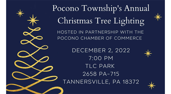 Pocono Township Tree Lighting