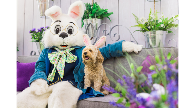 Hop to It! The Bunny Returns to Lehigh Valley Mall for Easter