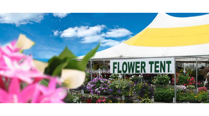 ROUTE 443 FLOWER TENT SPROUTS NEW ROOTS
