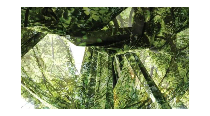 Art exhibits at Nurture Nature Center