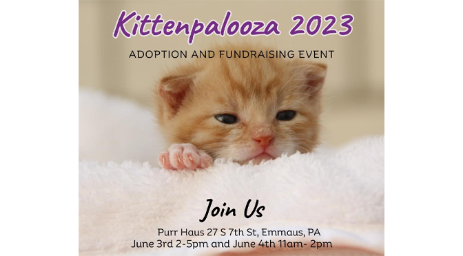 Kittenpalooza 2023 is coming!