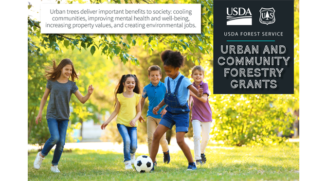 City of Easton Receives $1 million via USDA Grant Program  for Urban Forestry Equity Project