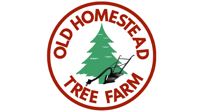 Old Homestead Tree Farm Welcomes Fall with Exciting Pumpkin Patch Season