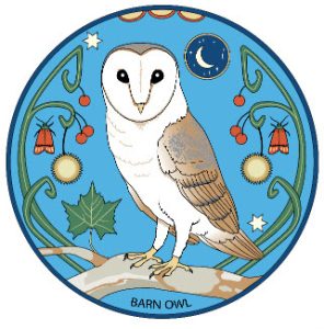 A white owl on a branch Description automatically generated