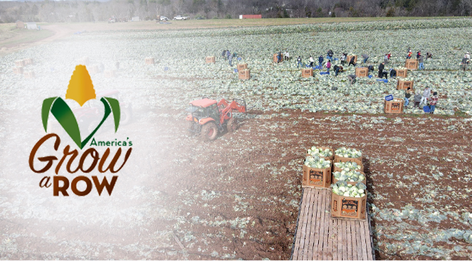 America’s Grow-a-Row Reaches New Milestone of 20 Million Pounds Donated