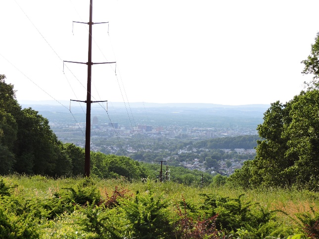 A power line in a grassy area Description automatically generated