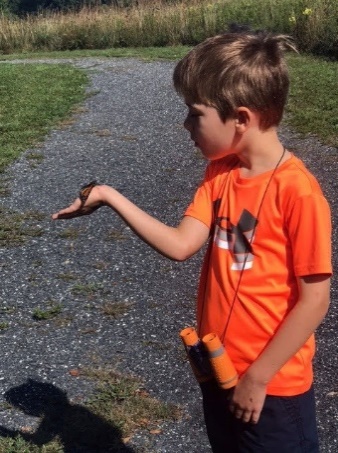 A child holding a small turtle

Description automatically generated