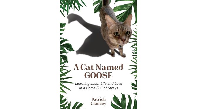 Bright Communications: “A Cat Named GOOSE”