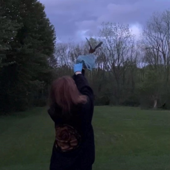 A person holding a blue glove up to her head
Description automatically generated
