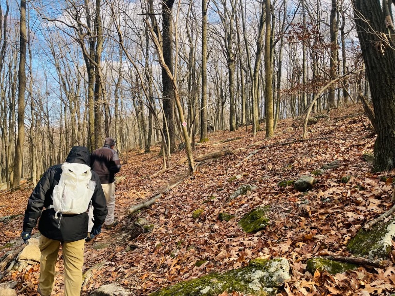 Two people walking in the woods
Description automatically generated