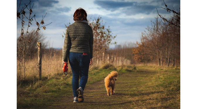 Six ways to control high blood pressure and manage hypertension