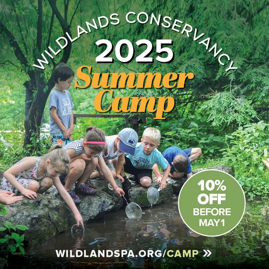 A group of children playing in a stream
AI-generated content may be incorrect.