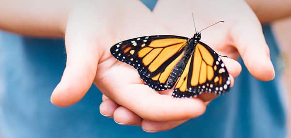 A butterfly on a hand AI-generated content may be incorrect.