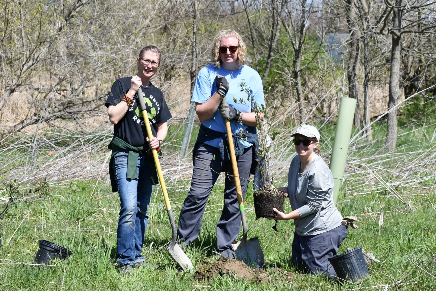 A group of women planting trees AI-generated content may be incorrect.