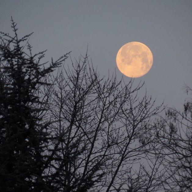 A moon in the sky

AI-generated content may be incorrect.