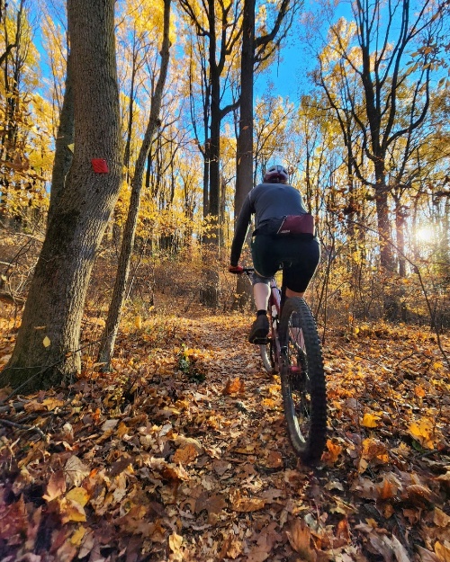 A person riding a bike in the woods

AI-generated content may be incorrect.