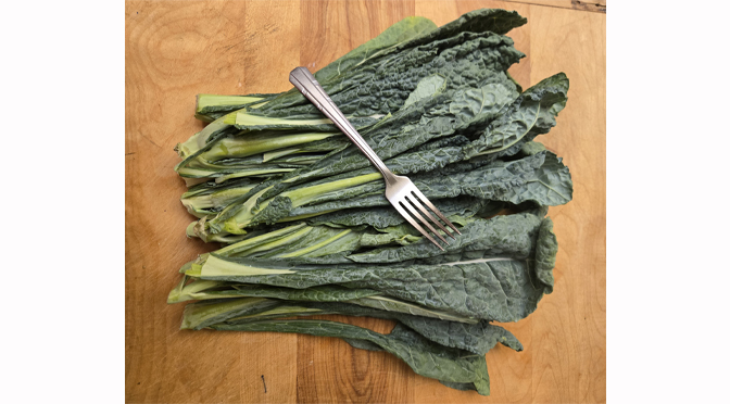 Under the Fork | Spotlight: The Tomato – By: Joe Scrizzi